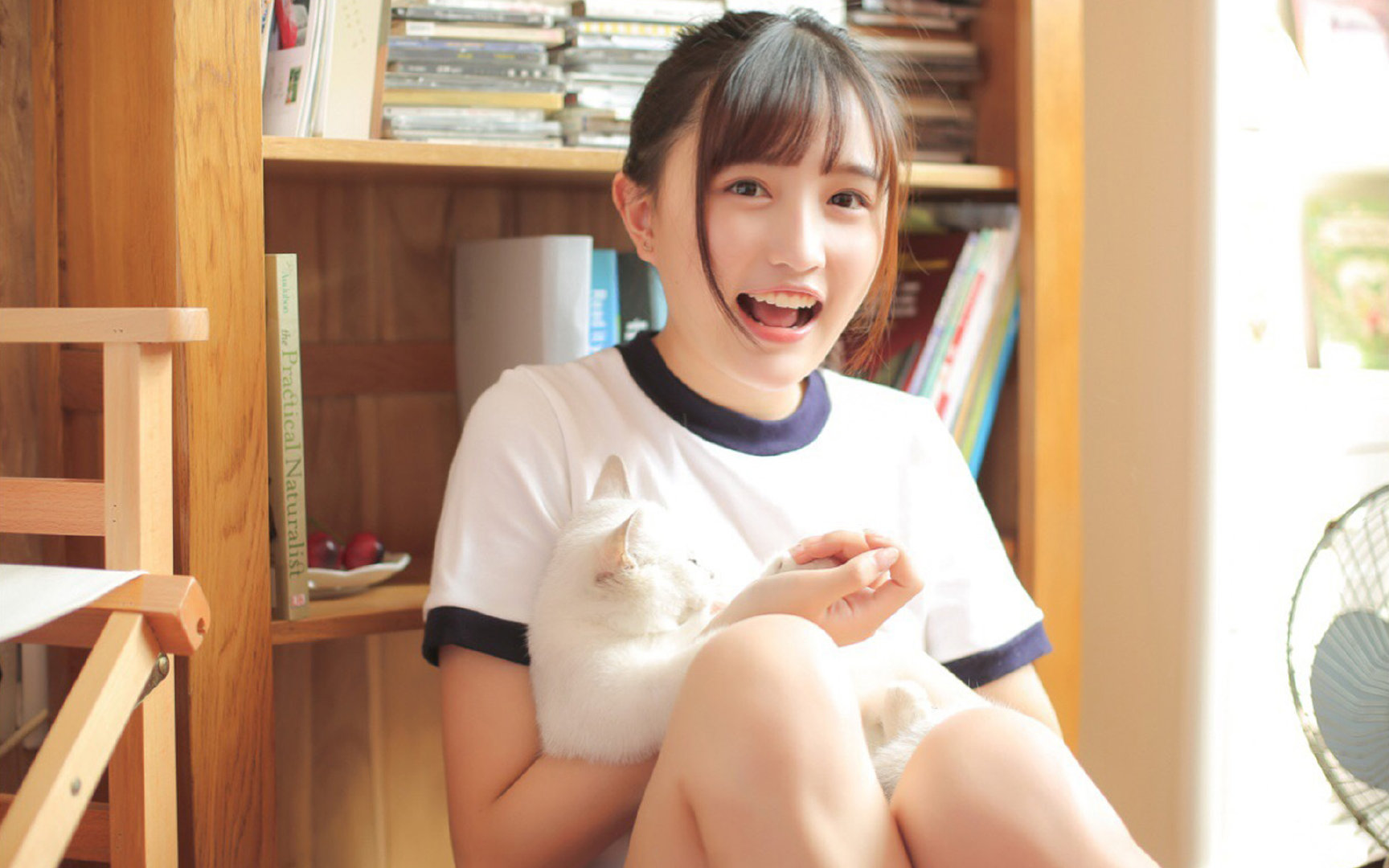 福克斯的火焰，广厦队与独行侠的跨联盟巅峰对决